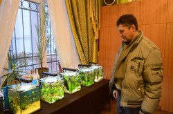 У Львові відкрилася четверта загальноміська виставка мікроакваріумів (ФОТО)