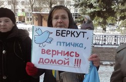 Житомир:  "Беркут, птичка, вернись домой"  і  тиск на бізнес регіоналів