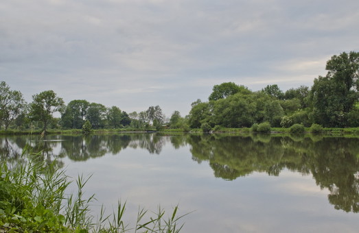 На Львівщині лише 5 незабруднених водойм