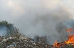 На Львівщині масово горить сміття