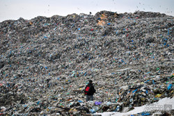 Реалії Грибовицького сміттєзвалища (ФОТО)