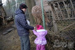 У львівському еколого-натуралістичному центрі реабілітують тварин на радість дітям (ФОТО)