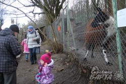 У львівському еколого-натуралістичному центрі реабілітують тварин на радість дітям (ФОТО)