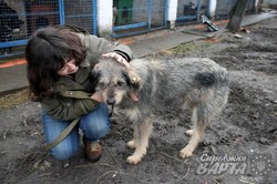 Сьогодні у ЛКП "Лев" знайшли нових господарів 5 собак (ФОТО)