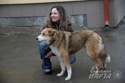 Сьогодні у ЛКП "Лев" знайшли нових господарів 5 собак (ФОТО)