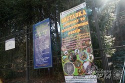 Львівський міський еколого-натуралістичний центр запрошує подивитись на птахів (ФОТО)