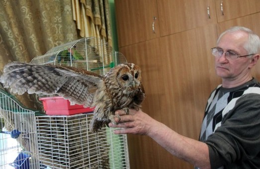 Львівський міський еколого-натуралістичний центр запрошує подивитись на птахів (ФОТО)
