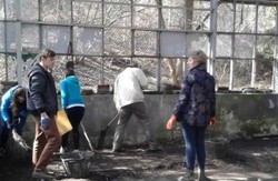 Активісти відновлюють оранжерею в Стрийському парку