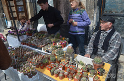 У Львові почали святкувати День міста (ФОТО)
