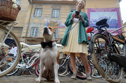 Львівські батяри влаштували вело променад у стилі ретро (ФОТО)
