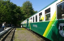На Львівській дитячій залізниці потяг зійшов з рейок