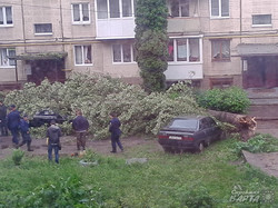 У Львові після зливи автомобілі «плавали» по дорогах (ФОТО)