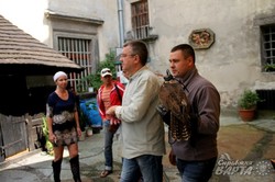 Львівські активісти-соколярі взялись захищати диких птахів (ФОТО)