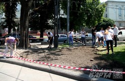 На алеї перед Оперним театром висаджують витоптану траву (ФОТО)