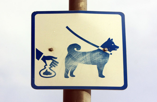 У Львові встановлять спеціальні урни для прибирання за тваринами