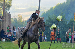 На Львівщині завершився фестиваль середньовічної культури «Ту Стань-2015!» (ФОТО)