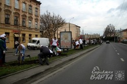 На проспекті Чорновола у Львові висадили кілька десятків дерев (ФОТО)