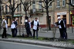 На проспекті Чорновола у Львові висадили кілька десятків дерев (ФОТО)