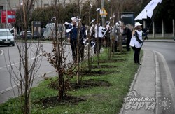 На проспекті Чорновола у Львові висадили кілька десятків дерев (ФОТО)