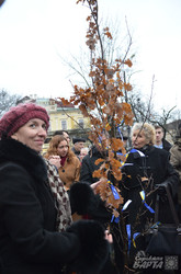 У Львові посадили дерево незламності українського духу (ФОТО)