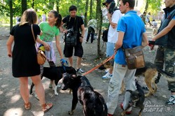 У Львові відбулась перша виставка безпородних собак (ФОТО)