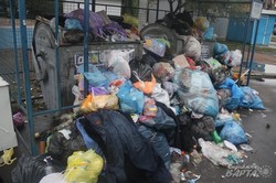 Попри обіцянки влади Львів продовжує потопати у смітті (ФОТО)