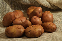 У 83-річного пенсіонера з Львівщини поцупили 200 кг картоплі