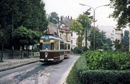 У Львові вздовж лінії “Сихівського” трамваю висадять дерева