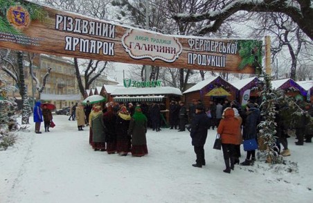 У Львові відкрився ярмарок фермерської продукції