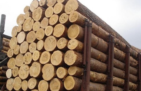 Із Львівщини у Польщу незаконно експортували деревину