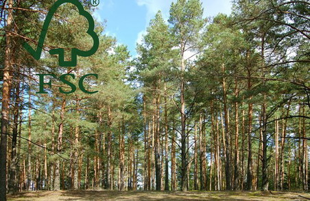 Лісогосподарські підприємства Львівщини отримали сертифікат FSC™ на наступні 5 років