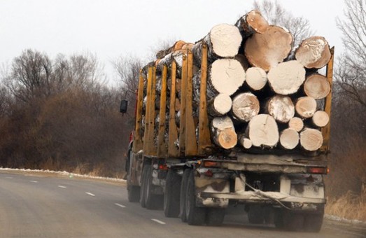 Росія вивозить український ліс за допомогою львівських лісгоспів, - Москаль