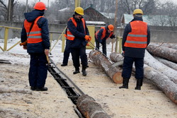 На Львівщині запрацювала нова лісопильна лінія (ФОТО)