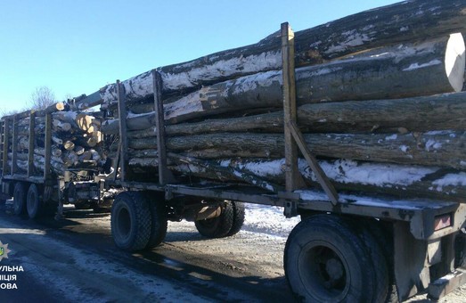 На Львівщині затримали нелегальну деревину