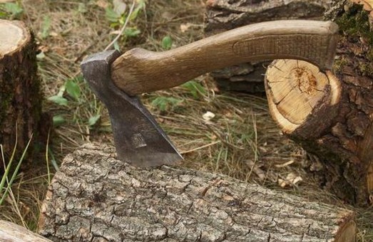 За самовільну вирубку дерев, засуджено майстра дільниці лісництва на Львівщині