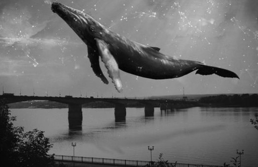 Мітка “синього кита”: в Івано-Франківську медики дивом врятували школярку від суїциду