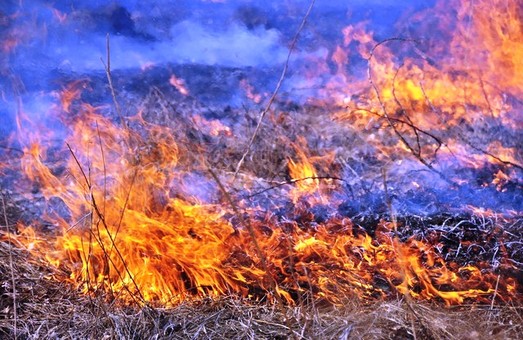 Упродовж доби рятувальники на Львівщині ліквідували 35 пожеж сухостою