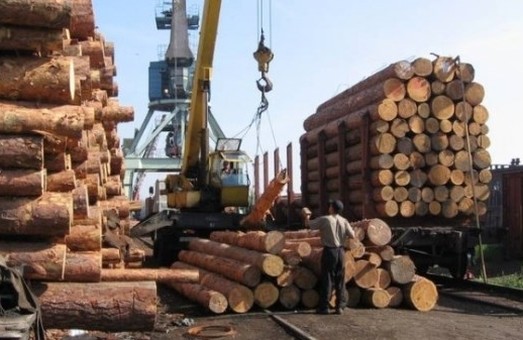 Сихівський райсуд призначатиме покарання чоловіку за нелегальний експорт деревини