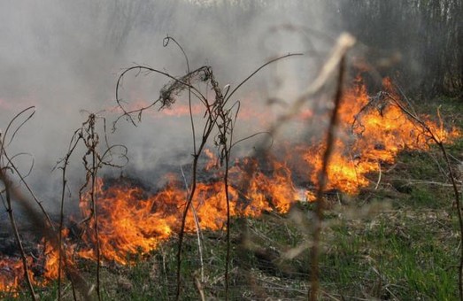 За спалювання трави на Львівщині оштрафували значну кількість осіб