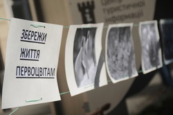 У Львові провели попереджувальну акцію по первоцвітах, на черзі - рейди (ФОТО)