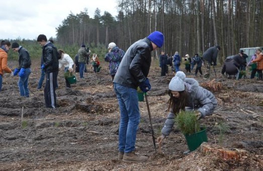 Учням та студентам Львівщини розкажуть і покажуть як садити дерева
