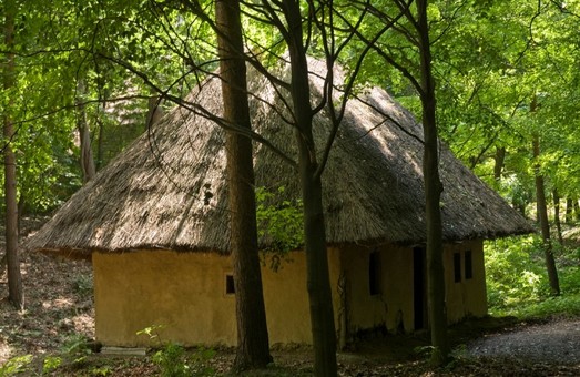 “Законсервовану” хату із Шевченківського гаю реконструюють