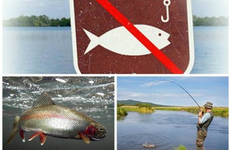 На Львівщині вступає в силу заборона на ловлю риби та раків