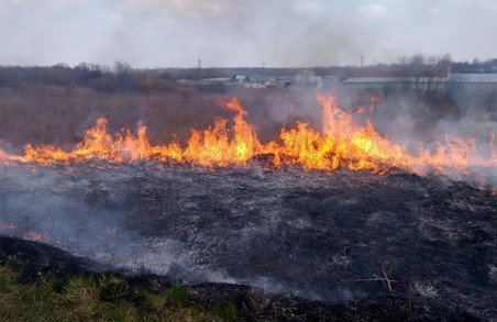 На Перемишлянщині через спалювання трави постраждало два господарства