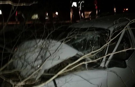 П’яний водій розтрощив автівку у Львівській області
