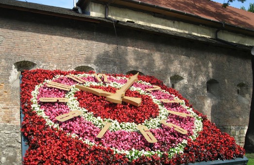 Віоли прикрасили квітковий годинник Львова