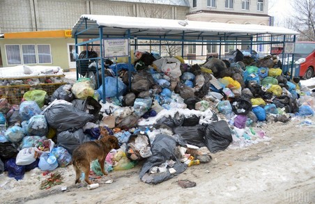 Львів’яни продовжують накопичувати сміття