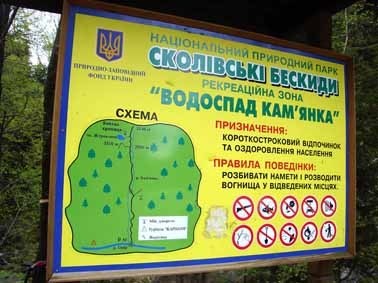 За вирубку дерев на Львівщині перед судом відповідатиме лісоруб