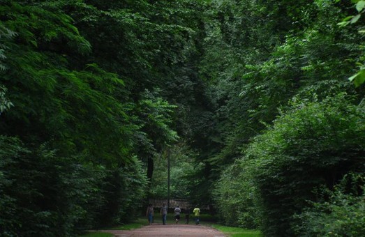 Львів’ян просять утриматись від прогулянок шістьма парками