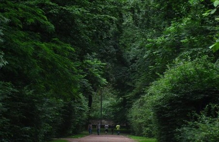 Львів’ян просять утриматись від прогулянок шістьма парками